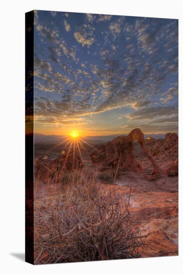 USA, Nevada, Clark County. Valley of Fire State Park. Elephant Rock-Brent Bergherm-Premier Image Canvas