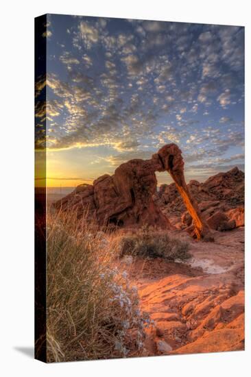 USA, Nevada, Clark County. Valley of Fire State Park. Elephant Rock-Brent Bergherm-Premier Image Canvas