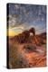 USA, Nevada, Clark County. Valley of Fire State Park. Elephant Rock-Brent Bergherm-Premier Image Canvas