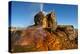 USA, Nevada, Gerlach, Fly Geyser, Black Rock Desert-Bernard Friel-Premier Image Canvas