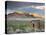 USA, Nevada, Great Basin, Beatty, Rhyolite Ghost Town-Walter Bibikow-Premier Image Canvas