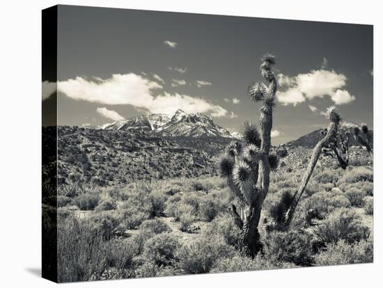 USA, Nevada, Las Vegas Area, Mt. Charleston, Mountain Landscape-Walter Bibikow-Premier Image Canvas