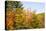 USA, New Hampshire, fall foliage Bretton Woods at base of Mount Washington-Alison Jones-Premier Image Canvas