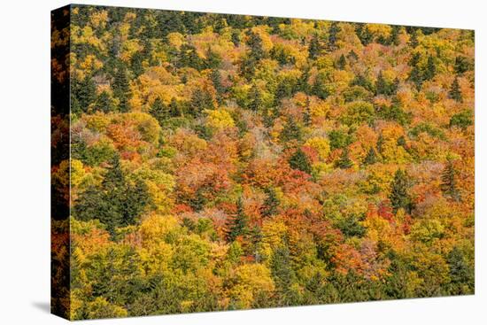 USA, New Hampshire, fall foliage Bretton Woods at base of Mount Washington-Alison Jones-Premier Image Canvas