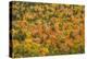 USA, New Hampshire, fall foliage Bretton Woods at base of Mount Washington-Alison Jones-Premier Image Canvas