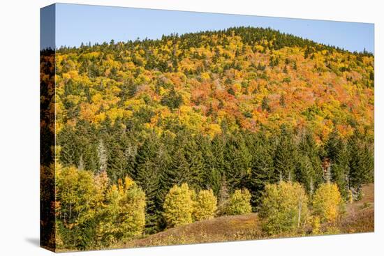 USA, New Hampshire, fall foliage Bretton Woods at base of Mount Washington-Alison Jones-Premier Image Canvas