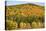 USA, New Hampshire, fall foliage Bretton Woods at base of Mount Washington-Alison Jones-Premier Image Canvas