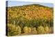 USA, New Hampshire, fall foliage Bretton Woods at base of Mount Washington-Alison Jones-Premier Image Canvas