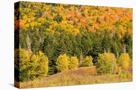 USA, New Hampshire, fall foliage Bretton Woods at base of Mount Washington-Alison Jones-Premier Image Canvas