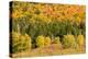 USA, New Hampshire, fall foliage Bretton Woods at base of Mount Washington-Alison Jones-Premier Image Canvas