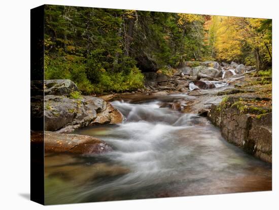 USA, New Hampshire, White Mountains, Fall at Jefferson Brook-Ann Collins-Premier Image Canvas