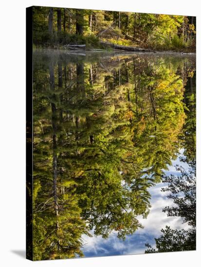 USA, New Hampshire, White Mountains, Reflections in Red Eagle Pond-Ann Collins-Premier Image Canvas