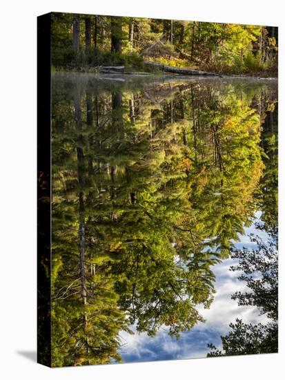 USA, New Hampshire, White Mountains, Reflections in Red Eagle Pond-Ann Collins-Premier Image Canvas
