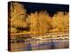 USA, New Mexico, Bosque del Apache, Sandhill cranes at dawn-Terry Eggers-Premier Image Canvas