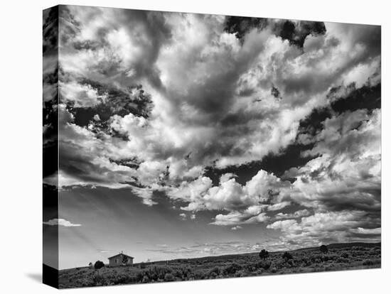 USA, New Mexico, Homestead-Ann Collins-Premier Image Canvas