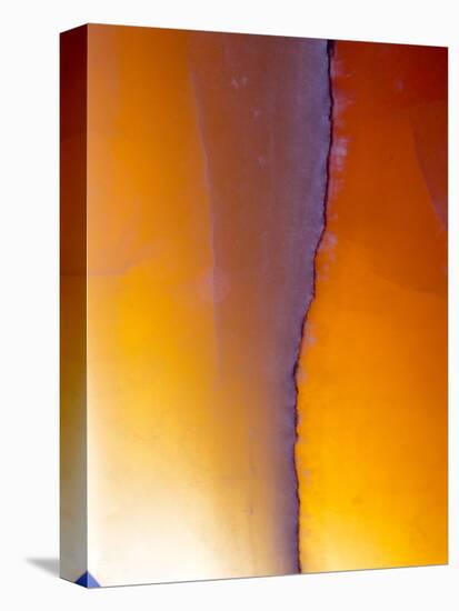 USA, New Mexico, Sant Fe, Agate Close-up, Macro-Terry Eggers-Premier Image Canvas