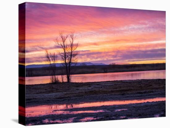 USA, New Mexico, Sunrise at Bosque del Apache National Wildlife Refuge-Terry Eggers-Premier Image Canvas