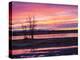 USA, New Mexico, Sunrise at Bosque del Apache National Wildlife Refuge-Terry Eggers-Premier Image Canvas