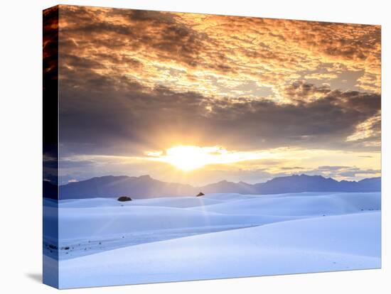 USA, New Mexico, White Sands National Monum-Michele Falzone-Premier Image Canvas