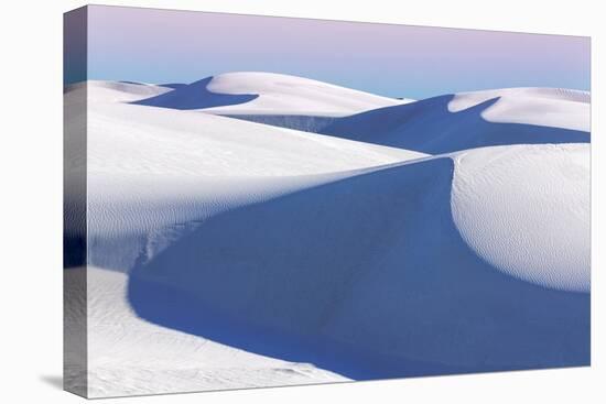 USA, New Mexico, White Sands National Monument. Desert Landscape-Don Paulson-Premier Image Canvas