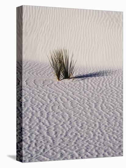USA, New Mexico, White Sands National Monument, Sand Dune Patterns and Yucca Plants-Terry Eggers-Premier Image Canvas