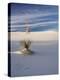 USA, New Mexico, White Sands National Monument, Sand Dune Patterns and Yucca Plants-Terry Eggers-Premier Image Canvas