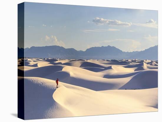 USA, New Mexico, White Sands National Monument-Michele Falzone-Premier Image Canvas