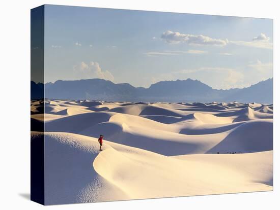 USA, New Mexico, White Sands National Monument-Michele Falzone-Premier Image Canvas
