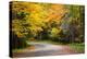 USA, New York, Adirondacks. Long Lake, foliage-covered road to Forked Lake-Ann Collins-Premier Image Canvas