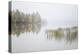 USA, New York, Adirondacks. Long Lake, reeds, fog, and fall foliage at Eaton Lake-Ann Collins-Premier Image Canvas