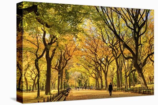 Usa, New York City, Manhattan, Central Park, the Mall-Michele Falzone-Premier Image Canvas