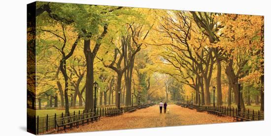 Usa, New York City, Manhattan, Central Park, the Mall-Michele Falzone-Premier Image Canvas