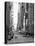 USA, New York, Manhattan, Midtown, 7th Avenue-Alan Copson-Premier Image Canvas