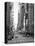 USA, New York, Manhattan, Midtown, 7th Avenue-Alan Copson-Premier Image Canvas