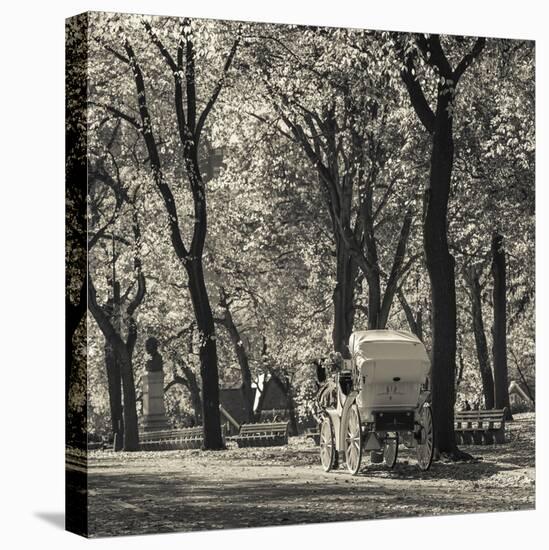 USA, New York, New York City, Central Park, Horse-Drawn Carriage-Walter Bibikow-Premier Image Canvas