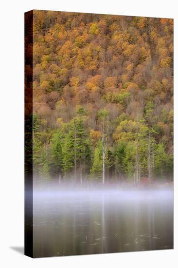 USA, New York State. Autumn foliage and mist on Labrador Pond.-Chris Murray-Premier Image Canvas