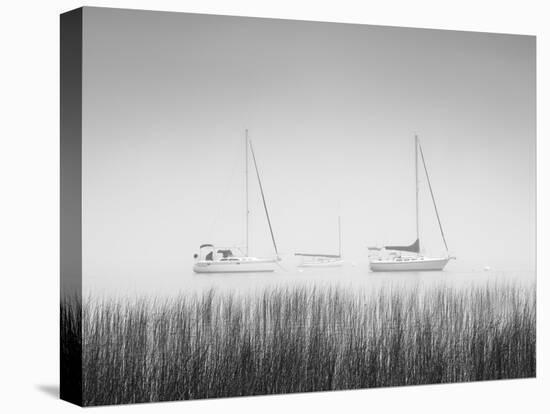 USA, New York State. Three sailboats, St. Lawrence River, Thousand Islands.-Chris Murray-Premier Image Canvas