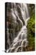 USA, North Carolina, Brevard. Waterfall in Dupont State Forest-Jaynes Gallery-Premier Image Canvas