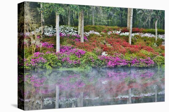 USA, North Carolina, Charleston., Azaleas reflecting in lake-Hollice Looney-Premier Image Canvas