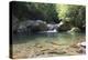 USA, North Carolina, Great Smoky Mountains National Park. Big Creek Trail. Midnight Hole-Trish Drury-Premier Image Canvas