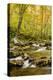 USA, North Carolina, Great Smoky Mountains National Park. Big Creek-Ann Collins-Premier Image Canvas