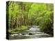 USA, North Carolina, Great Smoky Mountains National Park, Straight Fork Flows Through Forest-Ann Collins-Premier Image Canvas