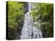 USA, North Carolina, Mingo Falls-Ann Collins-Premier Image Canvas