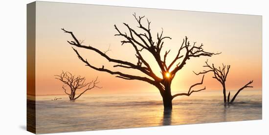 USA, North Carolina. Sunrise at Botany Bay Plantation-Jaynes Gallery-Premier Image Canvas