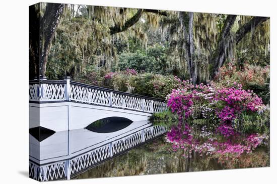 USA, North Carolina., white bridge with Azaleas and moss-covered tree-Hollice Looney-Premier Image Canvas