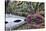 USA, North Carolina., white bridge with Azaleas and moss-covered tree-Hollice Looney-Premier Image Canvas