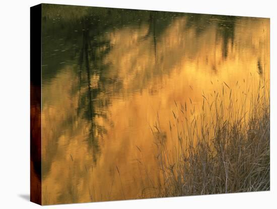 USA, Oregon. Abstract of Crooked River, Smith Rock State Park-Howie Garber-Premier Image Canvas