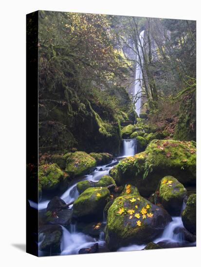 USA, Oregon. Autumn view of McCord Creek flowing below Elowah Falls in the Columbia River Gorge.-Gary Luhm-Premier Image Canvas