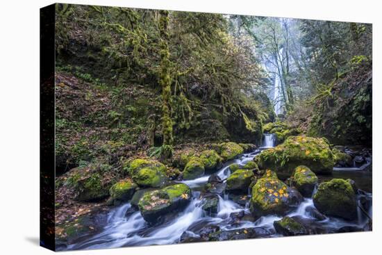 USA, Oregon. Autumn view of McCord Creek flowing below Elowah Falls in the Columbia River Gorge.-Gary Luhm-Premier Image Canvas