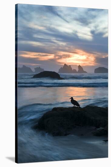 USA, Oregon, Bandon Beach. Seagull on Rock at Twilight-Jaynes Gallery-Premier Image Canvas